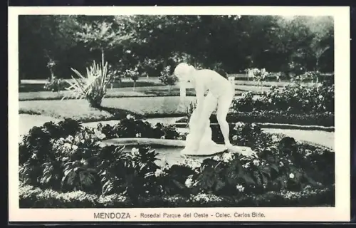 AK Mendoza, Rosedal Parque del Oeste