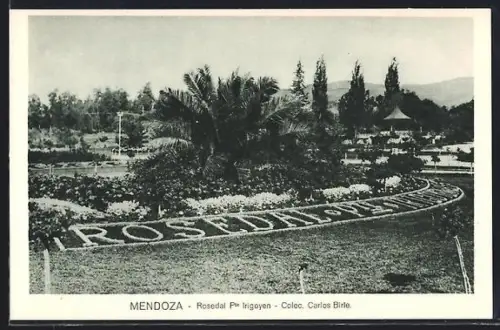 AK Mendoza, Rosedal Pte. Irigoyen