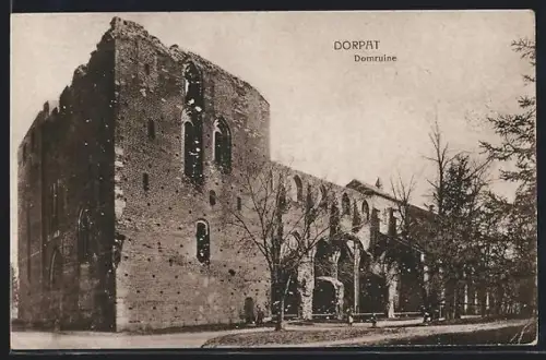 AK Dorpat, Domruine