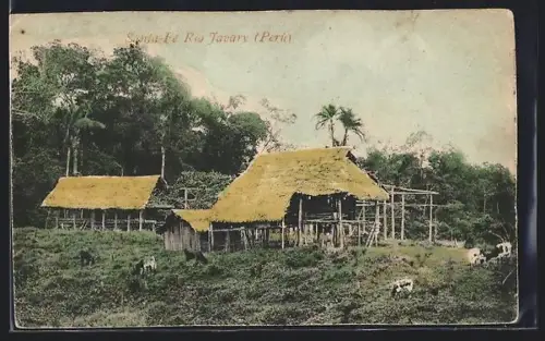 AK Santa-Fé, Rio Javary