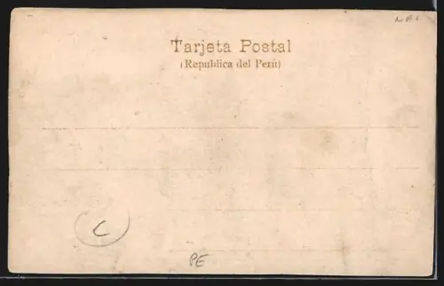 AK Santa-Fé, Rio Javary