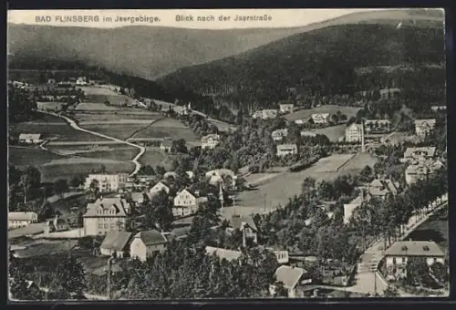 AK Bad Flinsberg im Isergebirge, Blick nach der Iserstrasse