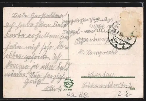 AK Schreiberhau i. Riesengebirge, Villen am Bahnhof, Wilhelmstrasse, Eulenstein, Kaiser-Denkmal, Haus Sunem und Kapelle