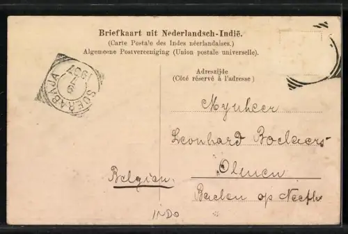 AK Dilly, Passar te Timor Dilly