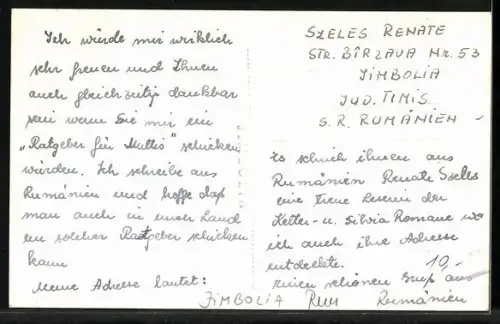 AK Jimbolia, Kirche mit Nachbarhäusern und Grünanlage