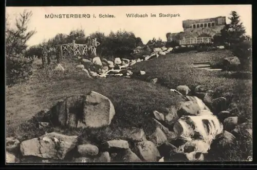 AK Münsterberg i. Schles., Wildbach im Stadtpark, mit Gebäude