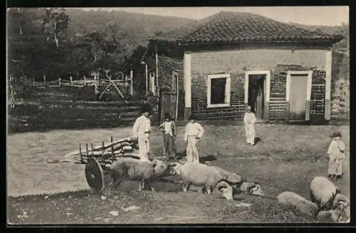AK Curityba, Bauernhaus mit Bewohnern und Schafen