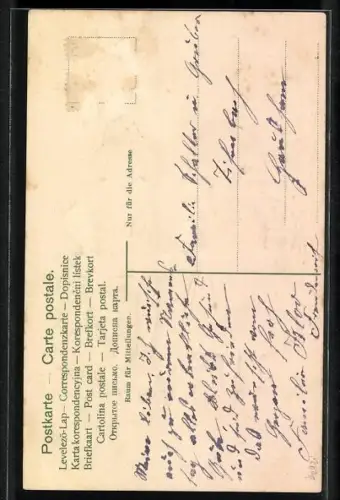 Stoff-Präge-AK Kleines Paar in Tracht mit Zither