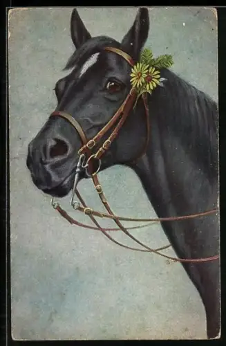 AK Schwarzes Pferd mit gelben Blumen im Zaumzeug