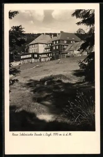 AK Neue Schlesische Baude im Riesengebirge