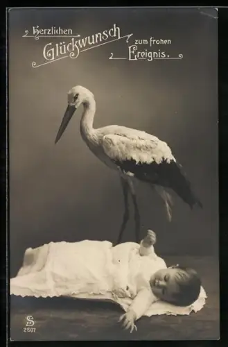 AK Glückwunschkarte, Klapperstorch mit neugeborenem Kind