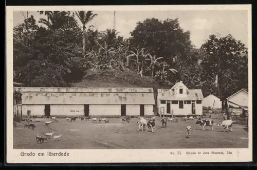AK Acores, Grado em liberdade