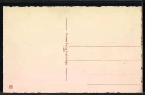 AK Sonderborg, Panorama mit Dampfer