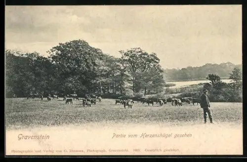 AK Gravenstein, Ortspartie vom Herzenshügel gesehen