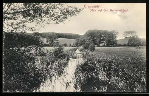 AK Gravenstein, Blick auf den Herzenshügel