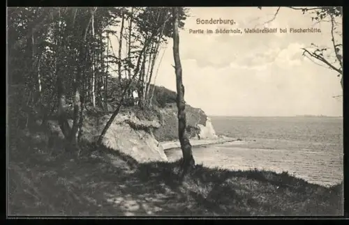 AK Sonderburg, Partie im Süderholz, Walkürenkliff bei Fischerhütte