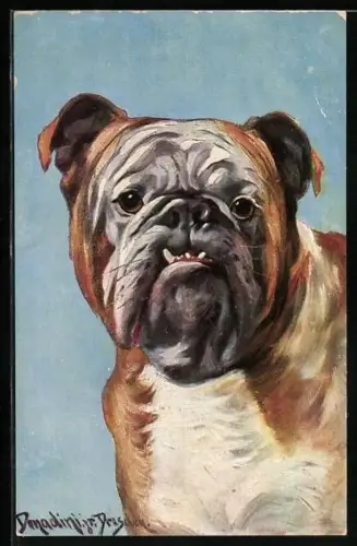 Künstler-AK Carlo Donadini: Porträt einer Bulldogge
