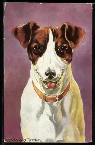 Künstler-AK Ermenegildo Carlo Donadini: Terrier mit wachem Blick