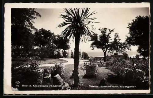 AK Warna, Ansicht vom Meergarten