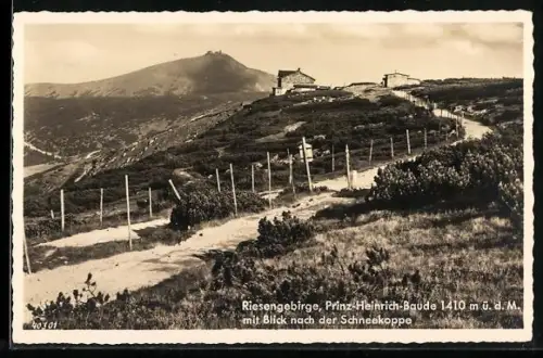 AK Prinz Heinrich-Baude, Blick nach der Schneekoppe