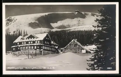 AK Riesengebirge, Schlingelbaude im Winter