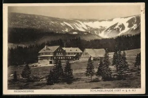 AK Schlingelbaude, Panorama mit Riesengebirge