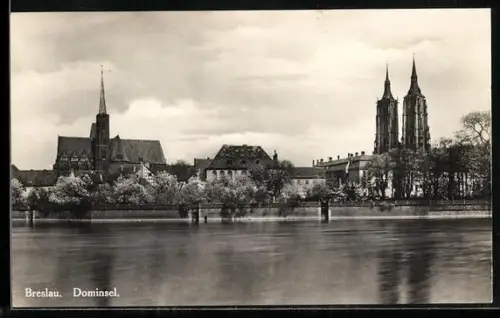 AK Breslau, Dominsel mit Parkanlage