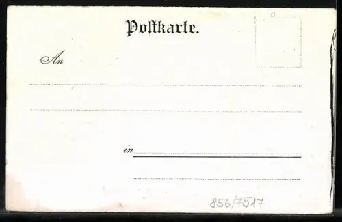 AK Mann mit Pelikan wirft mit Blitzen nach dem Michel, Bozner Zeitung