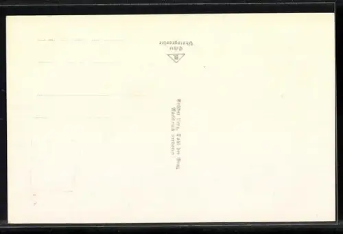 AK Grossglockner-Hochalpenstrasse, Hochtortunnel