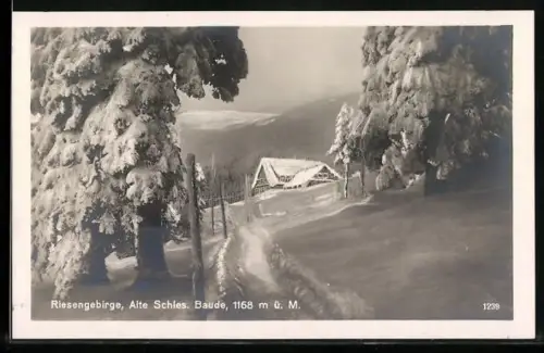 AK Spindelmühle-Spindleruv Mlyn, Alte Schlesische Baude im Winter