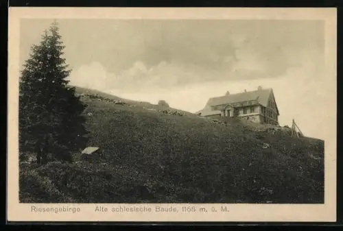 AK Alte Schlesische Baude