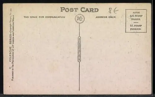 AK Erdbeeren am Busch, Obst