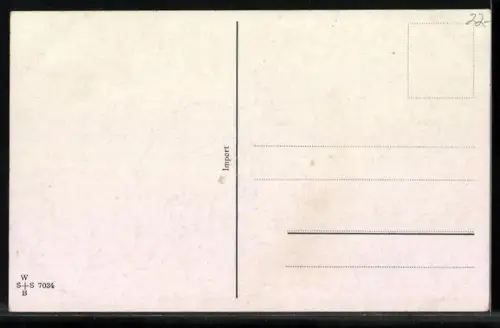 Künstler-AK Ad. Hoffmann: Känguruhs in freier Wildbahn