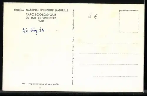 AK Nilpferd mit Junges