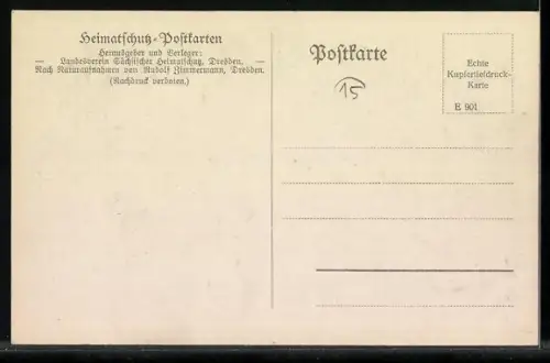 AK Die Waldwühlmaus, Heimatschutz-Karte, Reihe 1: Säugetiere