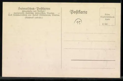 AK Die Haselmaus, Heimatschutz-Postkarte, Reihe 1: Säugetiere