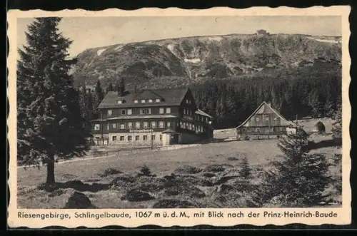 AK Schlingelbaude mit Blick zur Prinz Heinrich-Baude