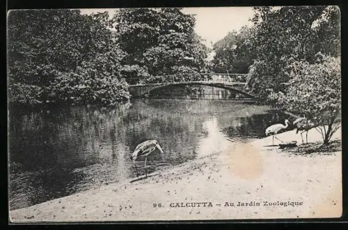 AK Calcutta, Au Jardin Zoologique, Zoo mit Brücke