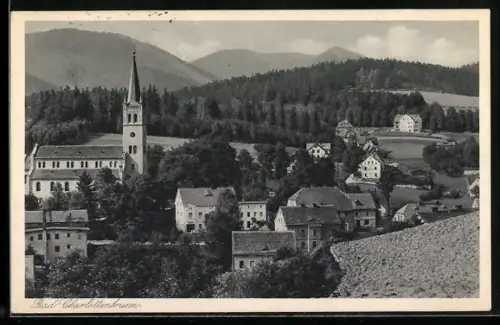 AK Bad Charlottenbrunn, Gesamtansicht