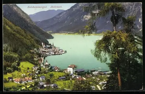 AK Hallstatt, Teilansicht vom Berg aus