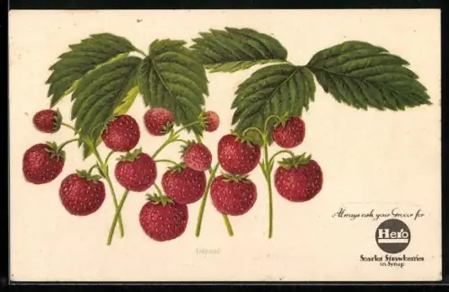 AK Conserves Lenzbourg, Erdbeeren