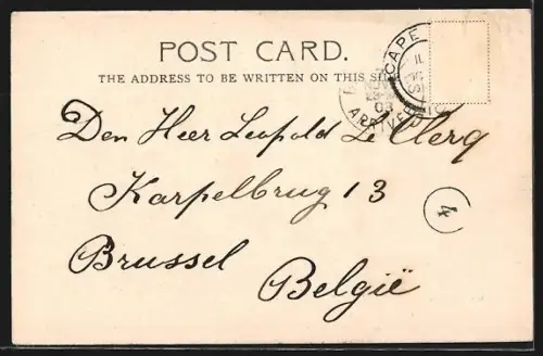 AK Capetown, General view