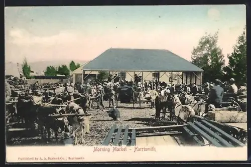 AK Harrismith, Morning Market