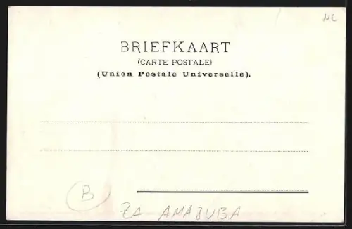 AK Amajuba, Waterval, Bloemen