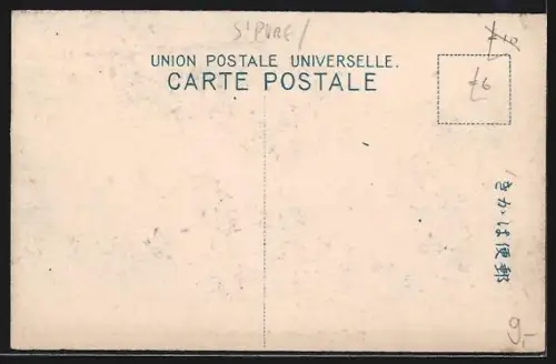 AK Singapore, Pine Apples ready for market