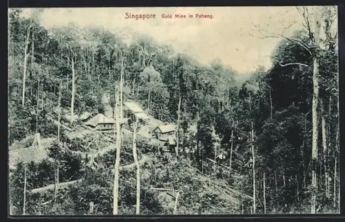 AK Pahang, Gold Mine