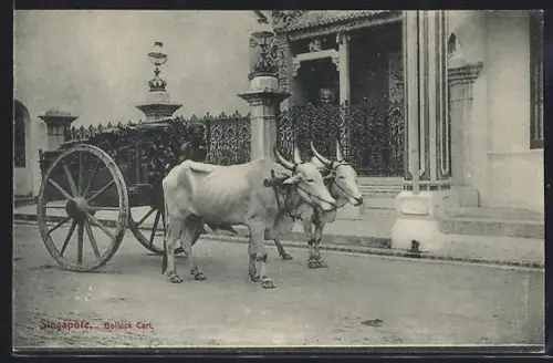 AK Singapore, Bolluck Cart