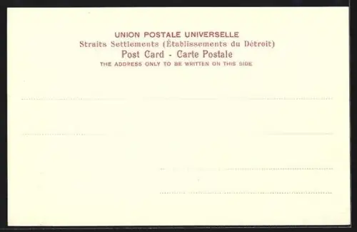 AK Singapore, St. Andrews Cathedral and Raffle`s Monument, Esplanade