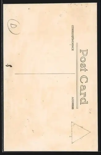 AK Tanamera, Strassenpartie mit Palmen