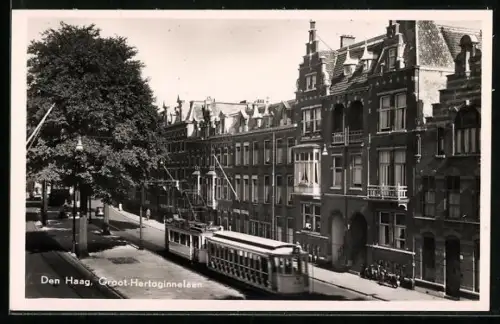 AK Den Haag, Groot-Hertoginnelaan, Strassenbahn